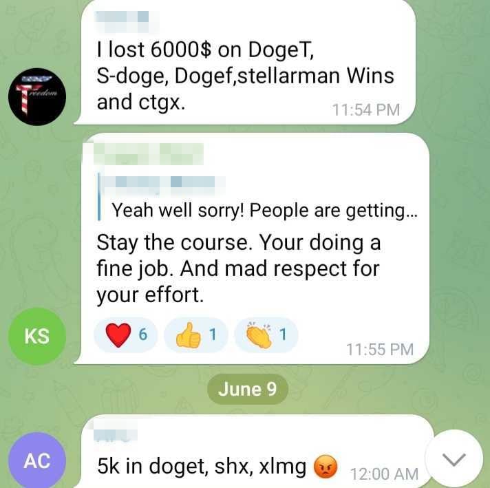 Message reads: I lost $6000 on DogeT, S-doge, Dogef, stellarman Wins and ctgx.