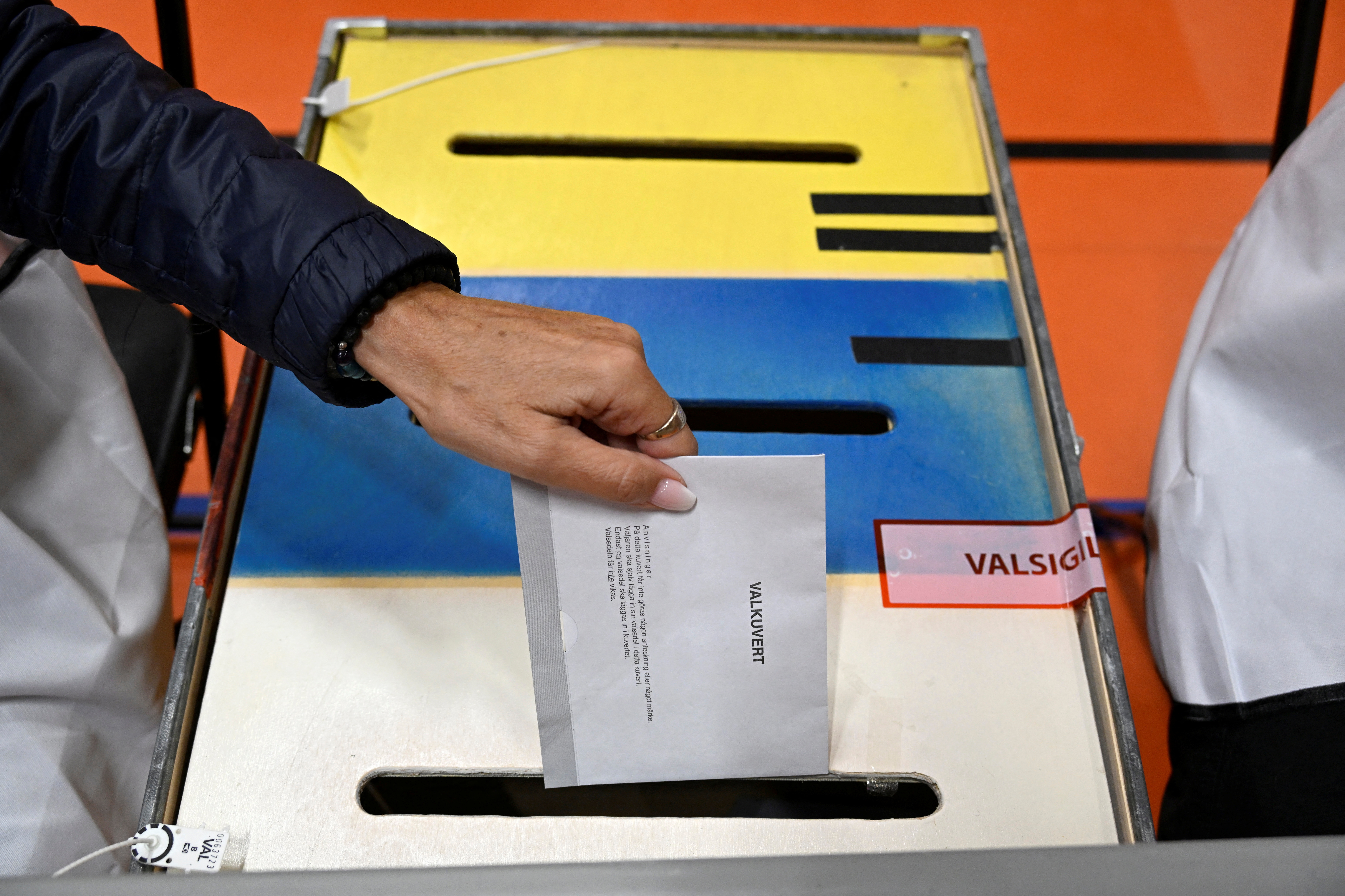 Double Check: Did Bot Farms Manipulate the Swedish Election?