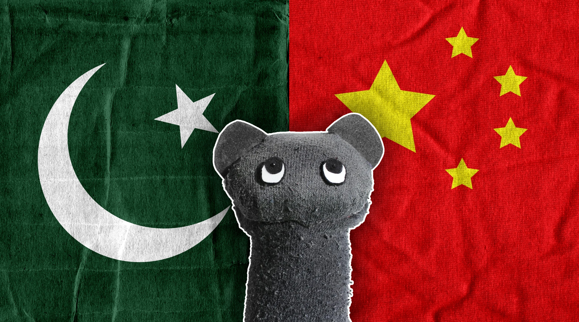 The Case of the Pakistani Sockpuppets