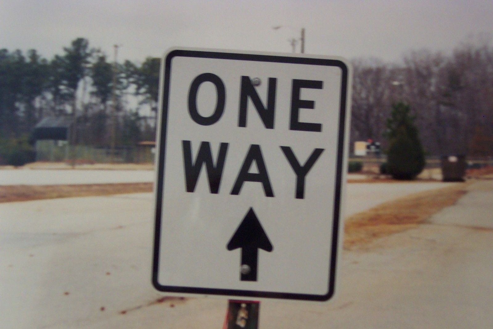 (Go Your Own Way — The Lack of Transparency in Fighting Covid-19)